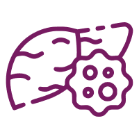Liver Cancer Care