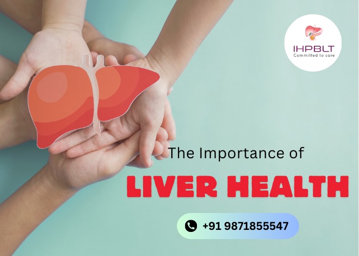Why Is Taking Care of Your Liver So Important?